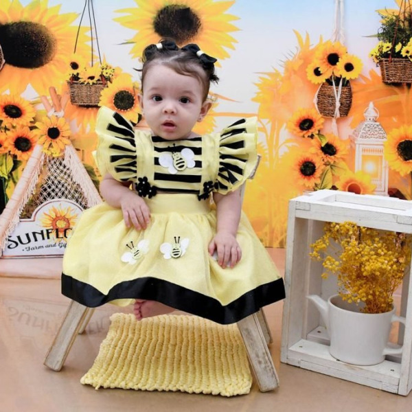 Romper/Vestido Princesa Abelha – Abelinha